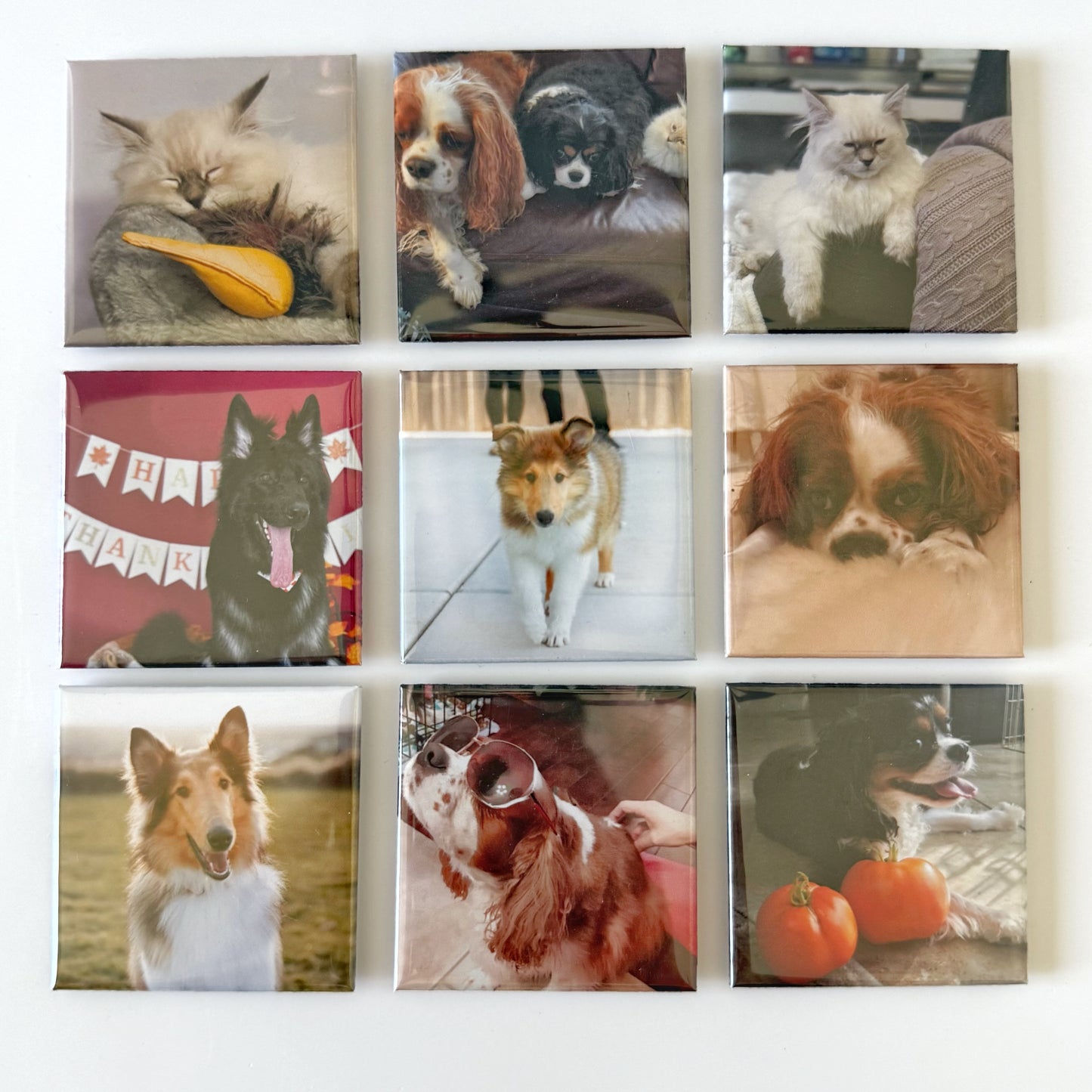 Custom Photo Magnets 2x2''