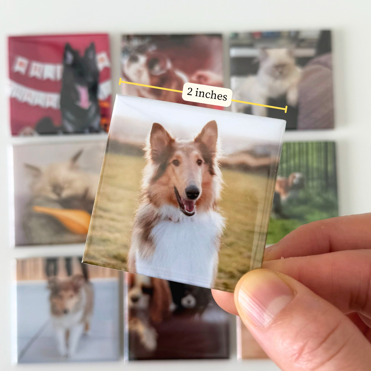Custom Photo Magnets 2x2'' TT