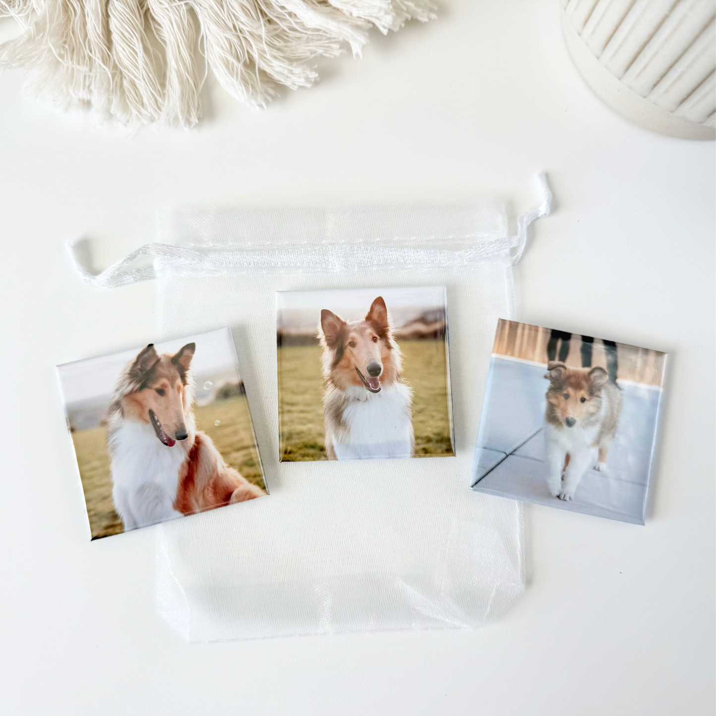 Custom Photo Magnets 2x2''