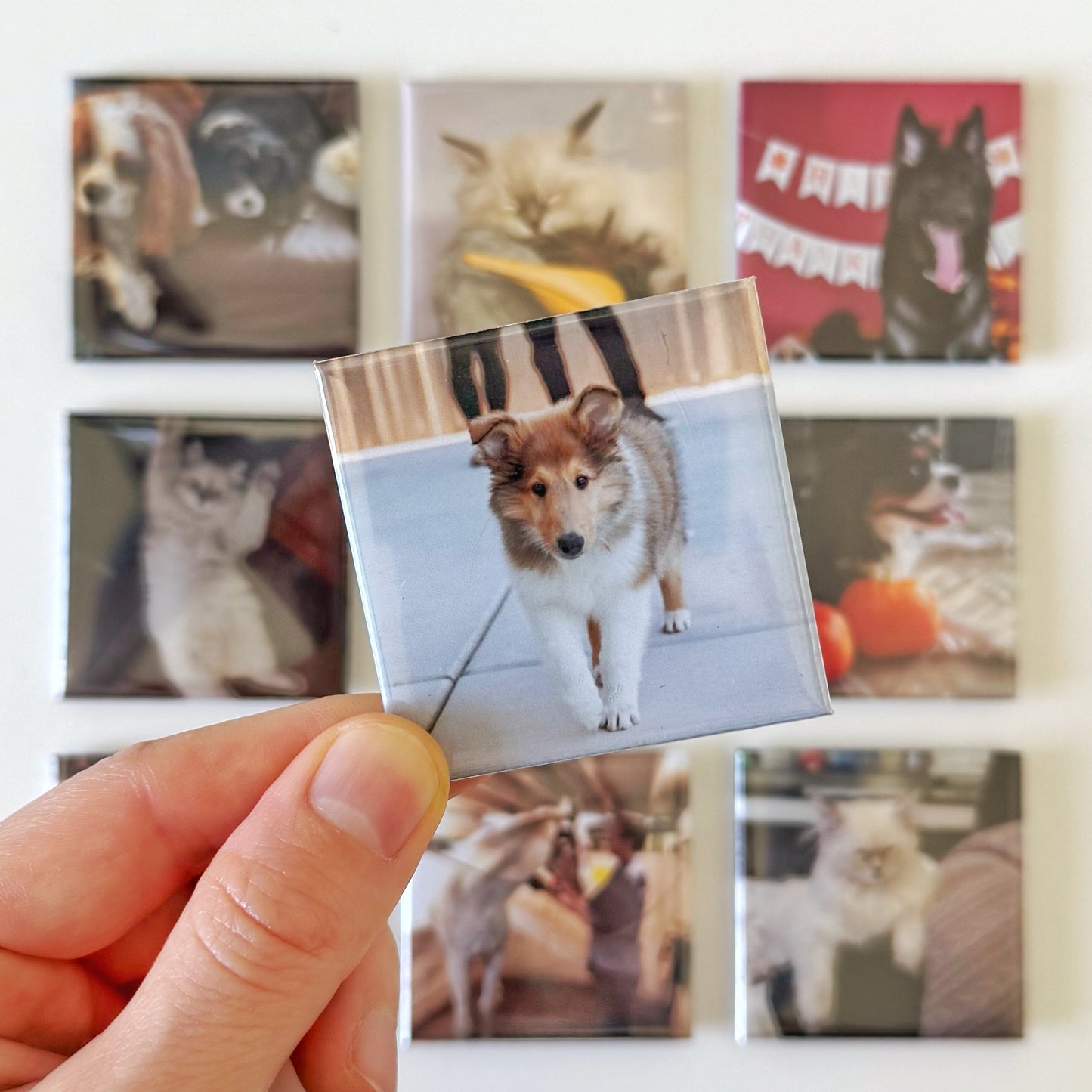 Custom Photo Magnets 2x2''